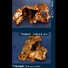 71 a.jpg